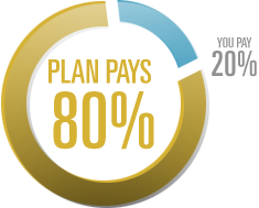 80-plan-types Play pays 80%, you pay 20%