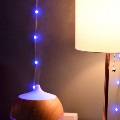 A lamp and diffuser